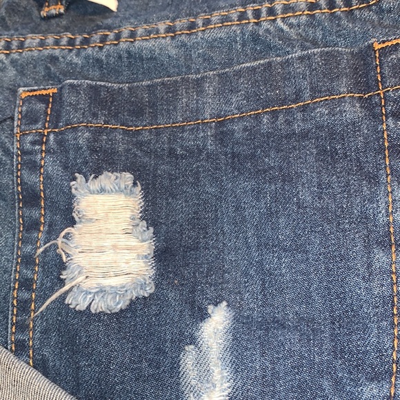 Buffalo 🦬 David Bitton - Picture 9 of 11